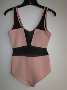 Image of Soft Pink & Mint Mesh Bodysuit (Clearance)