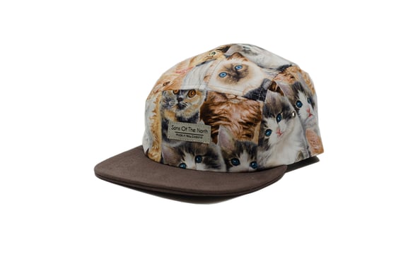 Image of Whiskers 5 Panel