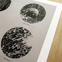 Image 1 of Natural Patterns I / 16" x 20" Print 
