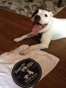 Image of Peace for Pits Rescue T-Shirt