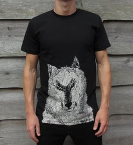 Image of Xinjiang Wolf 狼