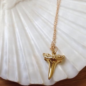Image of Gold Shark Tooth Necklace