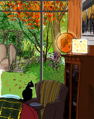 Sox and Ann's Garden