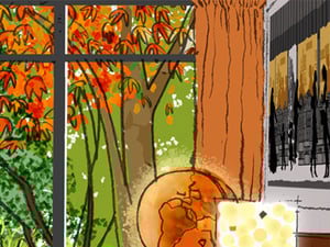 Sox and Ann's Garden