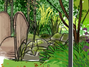 Sox and Ann's Garden
