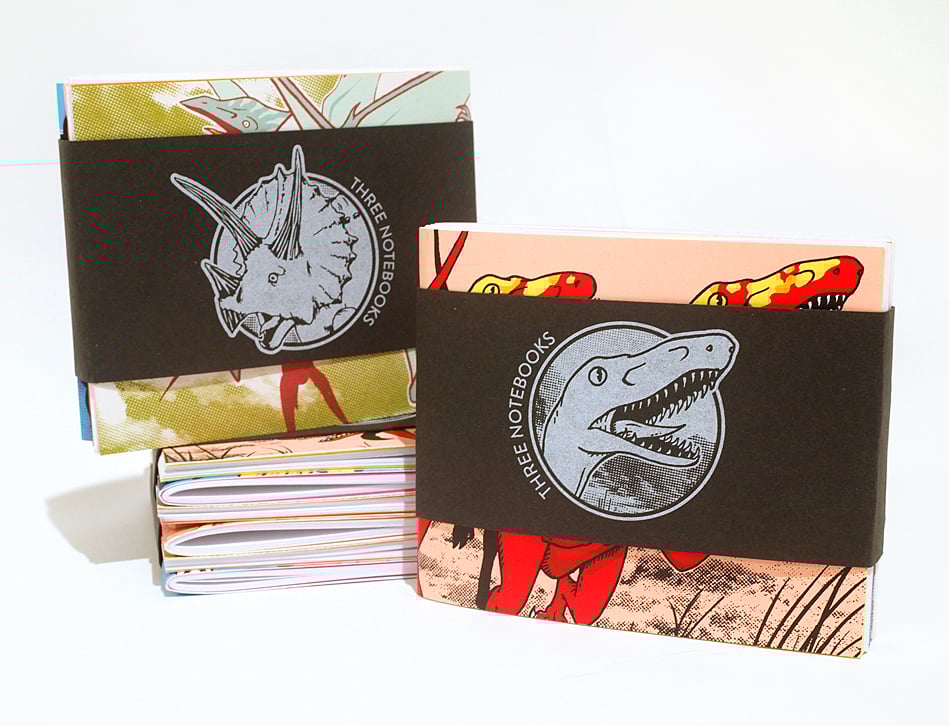 Image of Dinosaur Notebooks - 3 Pack