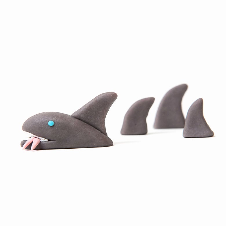 Image of shark and fins