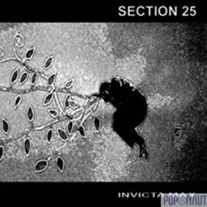 Image of [MM011] Section 25 - Invicta Max 10"