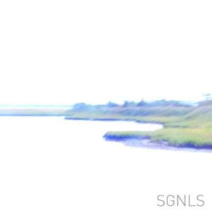 Image of [BPR012] SGNLS - SGNLS LP