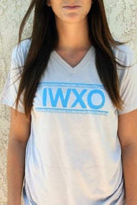 Image of IWXO Grey V Neck T-Shirt(Adult Small)