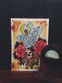 Image 1 of Uncle Allan Swan Print