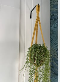 Image 1 of Budget Friendly Plant Hanger