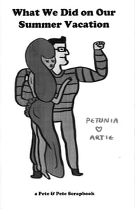 Image of What We Did On Our Summer Vacation: A Pete & Pete Scrapbook (SOLD OUT)