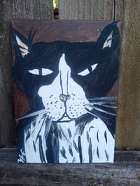 Image 4 of Tuxedo Cat 