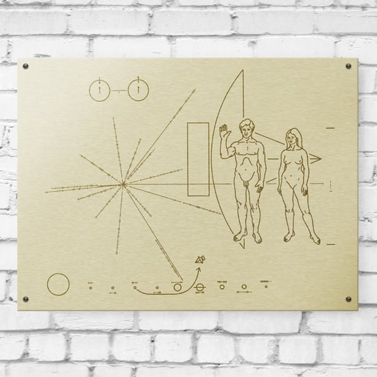 Image of PIONEER PLAQUE REPLICA 