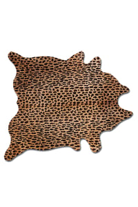 Image of 676685001412 Togo leopard