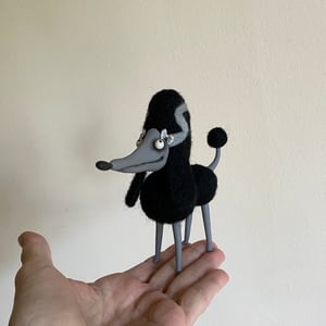 Image of Halloween Poodle in Black