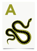 Image of A is for Adder print
