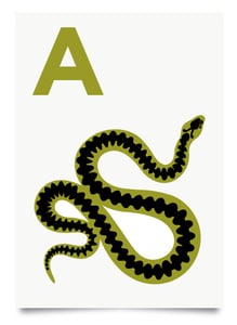 Image of A is for Adder print