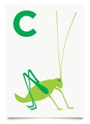 Image of C is for Cricket print