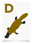 Image of D is for Duck-Billed Platypus