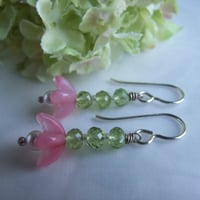 Image 4 of Pink Sweet Pea