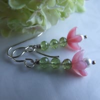 Image 2 of Pink Sweet Pea