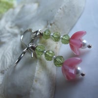 Image 5 of Pink Sweet Pea