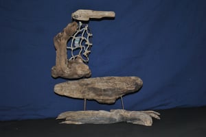 Image of Willard ship / 607