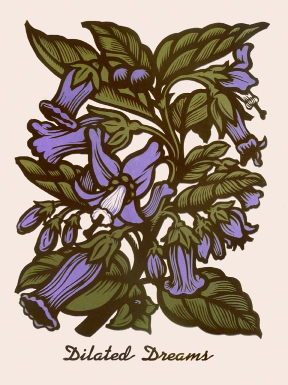 Image of Deadly Nightshade