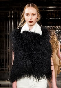 Image of Fur Gilet