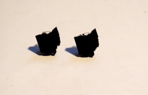 Image of Ohio Earrings