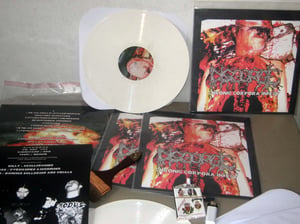 Image of DISGORGE "Chronic Corpora Infest" 12 LP - SOLD OUT