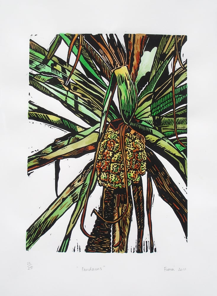 Image of "Pandanus" 2011 - Handcoloured