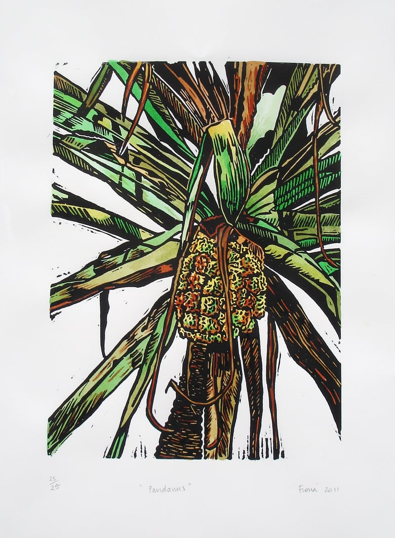 Image of "Pandanus"  2011 - Handcoloured