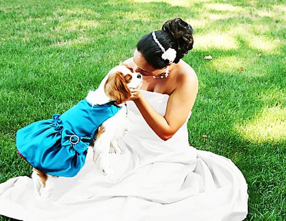 Image of Dog Dress dog clothes wedding dog dress