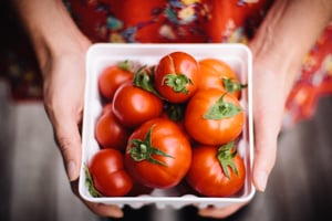 Image of fresh tomatoes print