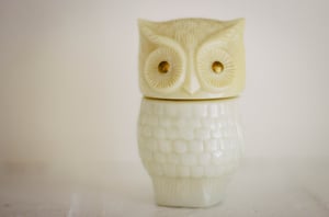 Image of Avon Owl
