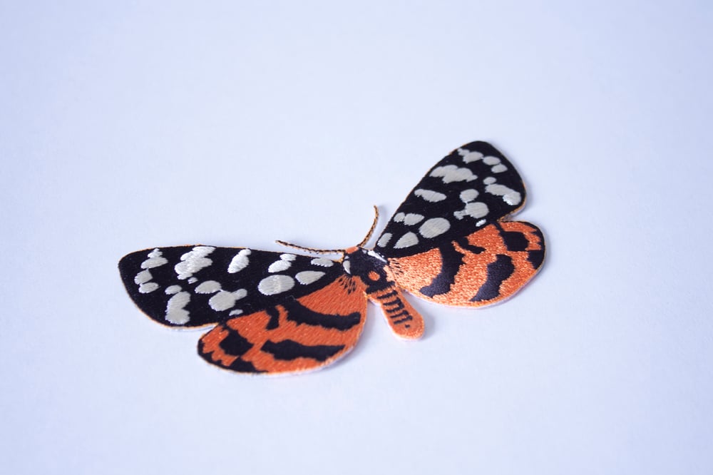 Image of Vlinderdas | Butterfly Tie