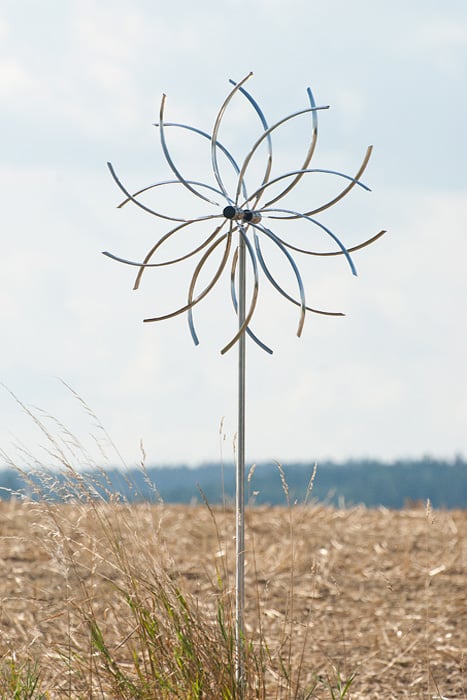Image of Power Flower