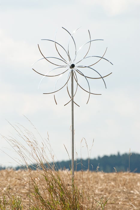 Image of Power Flower