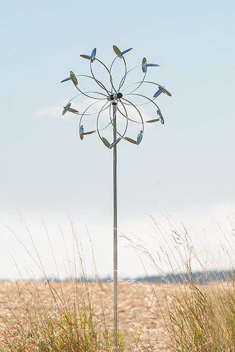 Image of Wind Flower