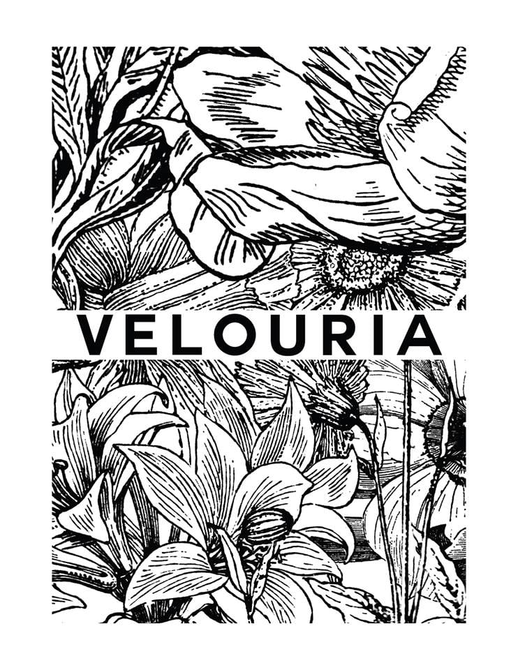Image of "Velouria" sticker