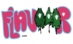 Image of FLAVOOOR sticker