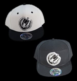 Image of Lambs Become Lions Snap Back