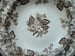 Image of A Charming Wedgwood "Alton" Blossom Plate