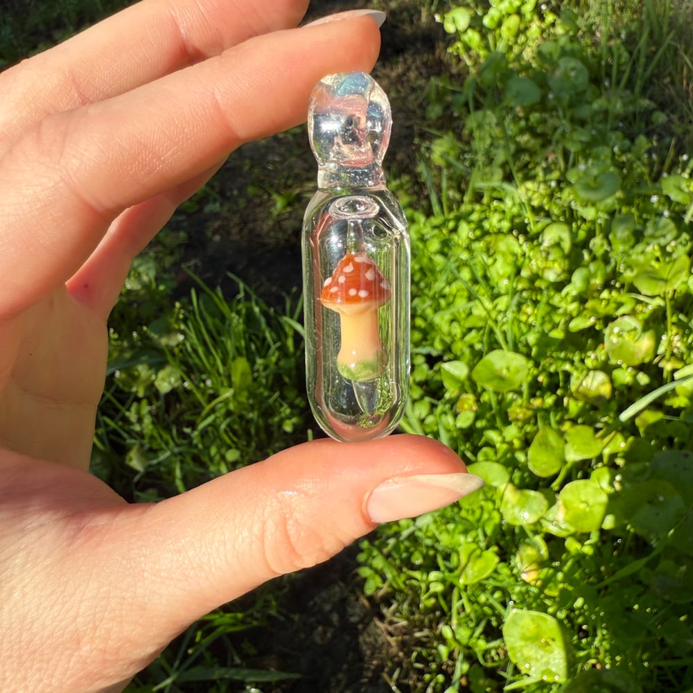 Image of Mushroom Micro Encapsulations