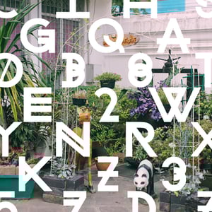 Image of Changing Lines - Type II