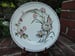 Image of A Charming Cottage Aesthetic Polychrome Plate