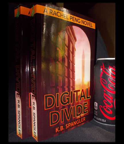 Image of Digital Divide - signed copy